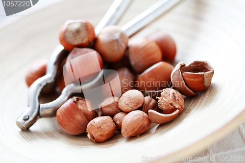 Image of hazelnuts