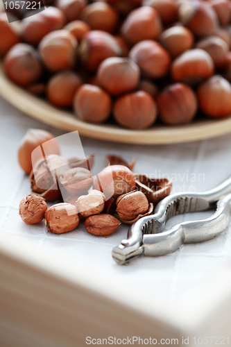 Image of hazelnuts