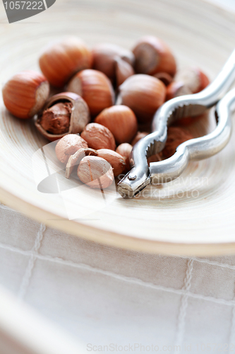 Image of hazelnuts