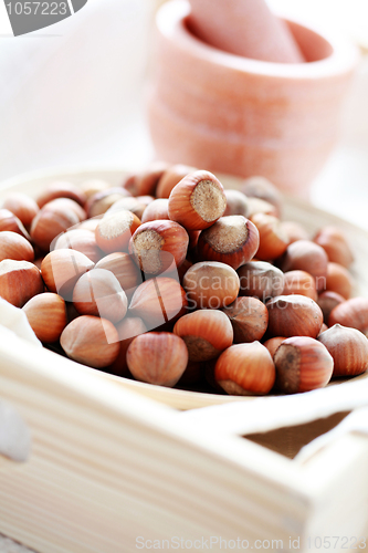 Image of hazelnuts