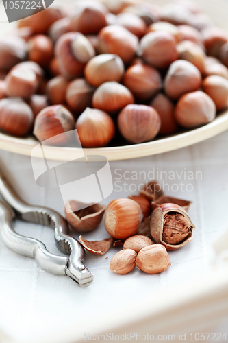 Image of hazelnuts