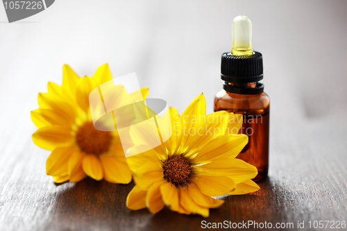 Image of flower essential oil