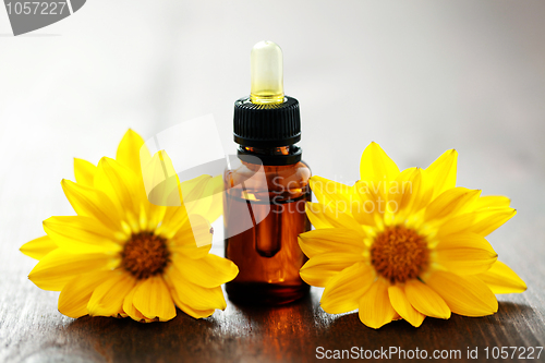 Image of flower essential oil