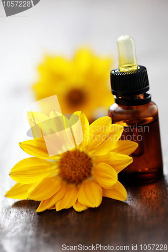 Image of flower essential oil