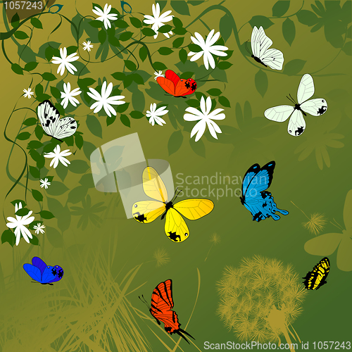 Image of Spring time background