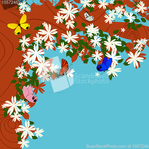 Image of Spring 
