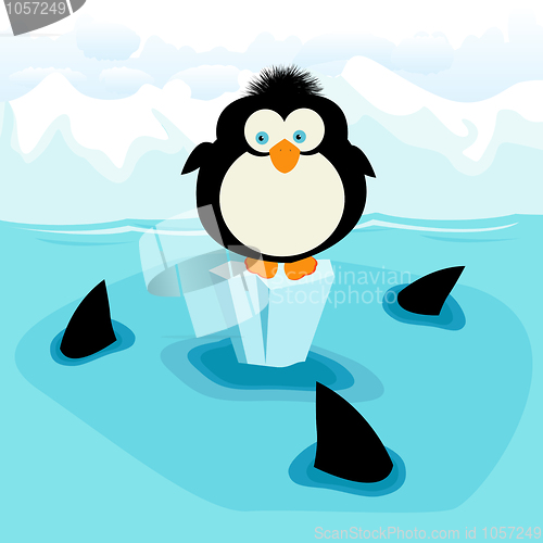 Image of Penguin