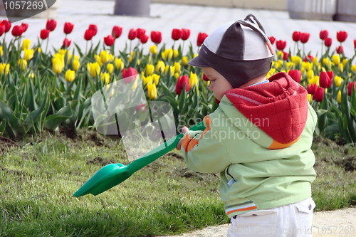 Image of The child plays park