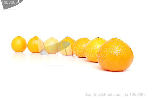 Image of Mandarins isolated on white