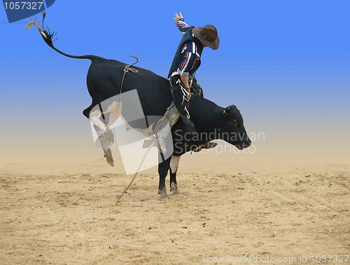 Image of Bull Rider