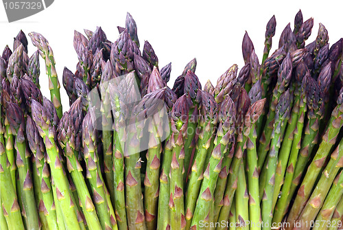 Image of Fresh Aspagus Spears