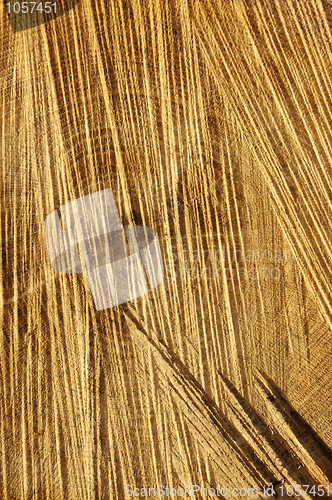 Image of Detail of wooden cut texture - rings and saw cuts - oak - background