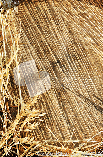 Image of Detail of wooden cut texture and dry grass hay - frame