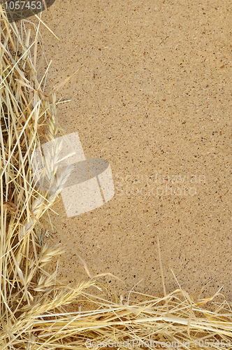 Image of Detail of dry grass hay and OSB, oriented strand board  - frame