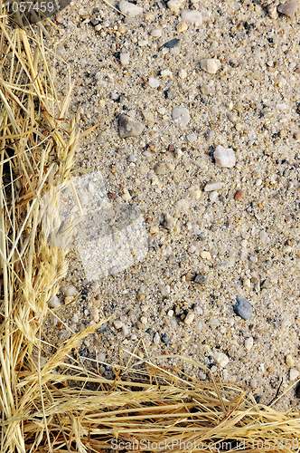 Image of Detail of dry grass hay and sand - frame