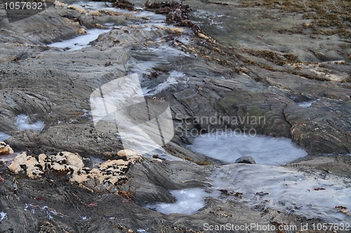 Image of Frozen beach