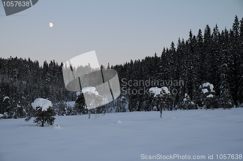 Image of Winter landscape with moon