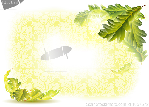 Image of oak leaves and acorns