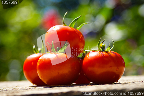 Image of red tomatoes