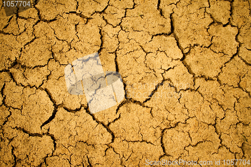 Image of Cracked desert surface background