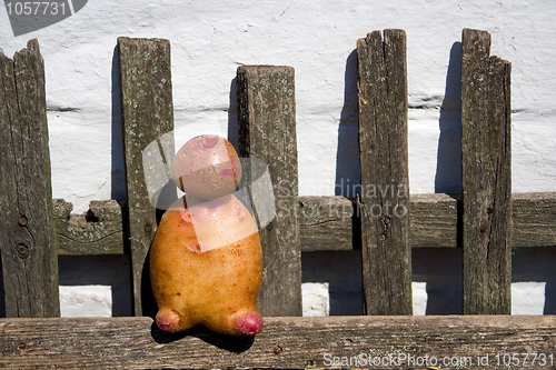 Image of potato man