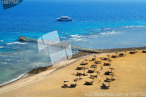 Image of On the Red Sea