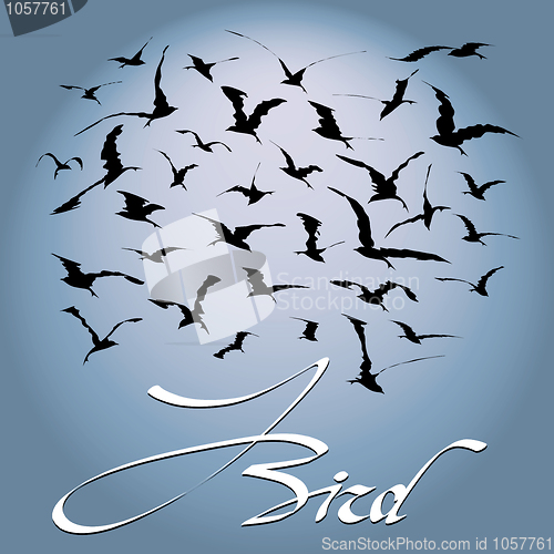 Image of Flock of birds