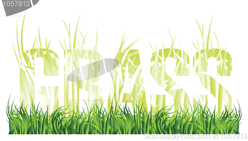Image of Grass and the words "grass" consisting of grass