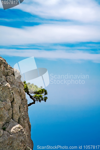 Image of rock