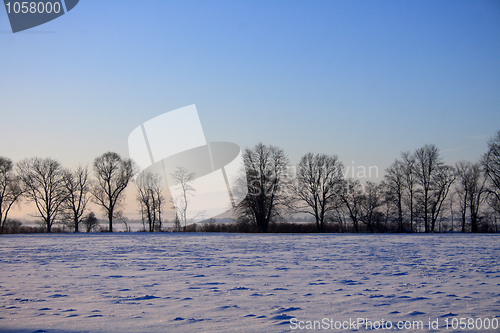 Image of winter country 