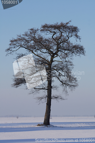 Image of winter country 