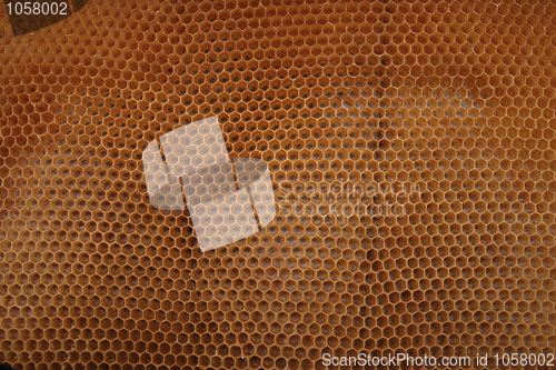 Image of beeswax wirhout honey 