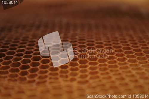 Image of beeswax wirhout honey 