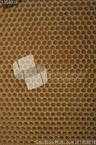 Image of beeswax wirhout honey 