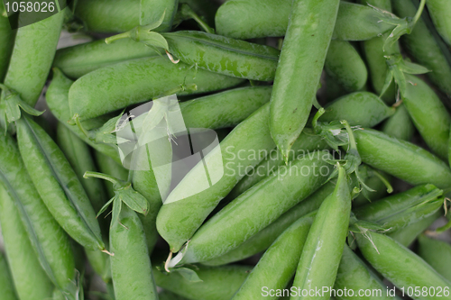 Image of pea background