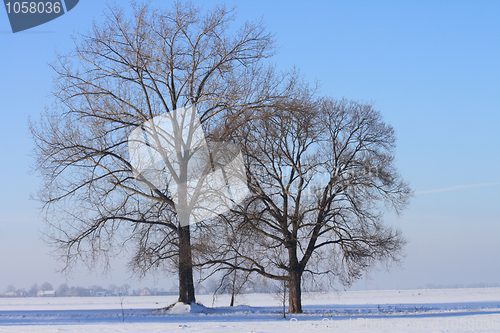 Image of winter country 