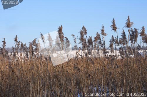 Image of winter country 