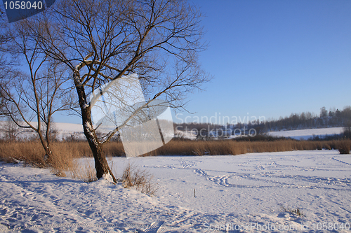 Image of winter country 