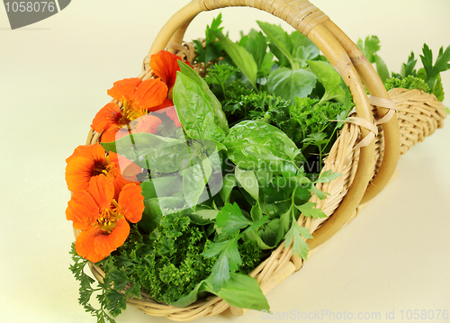 Image of Garden Picked Herbs