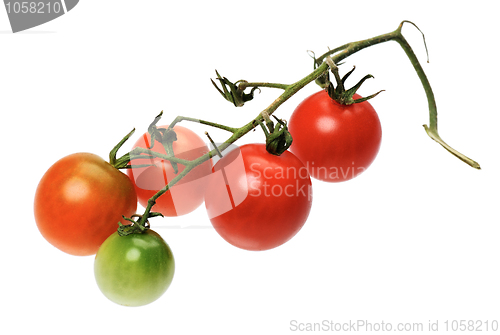 Image of Red tomatto, isolated