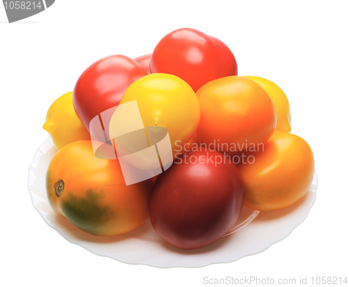 Image of Multicolored tomatto, isolated