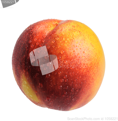 Image of Nectarine, isolated