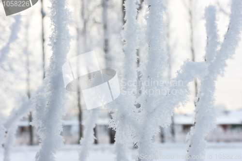 Image of Winter landscape