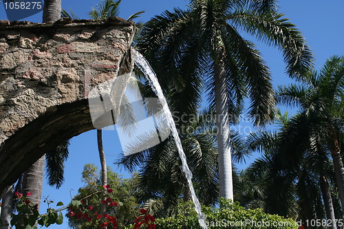 Image of Tropical Garden