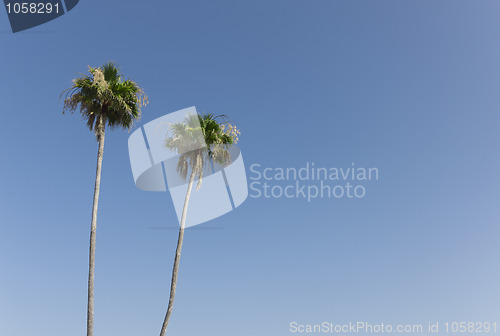 Image of Holiday background