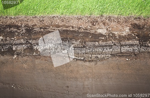 Image of Real Grass and several underground soil layers