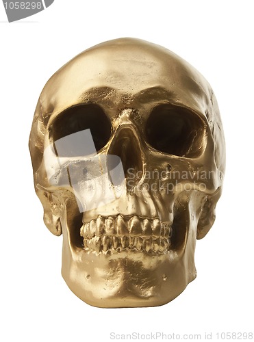 Image of Golden skull on white background