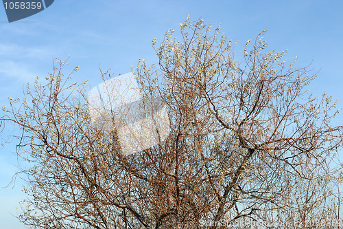 Image of autumn