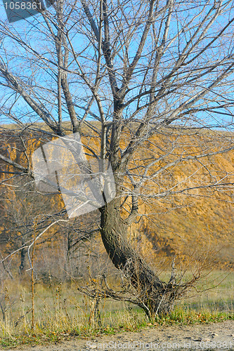 Image of autumn