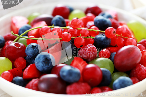 Image of berry fruits